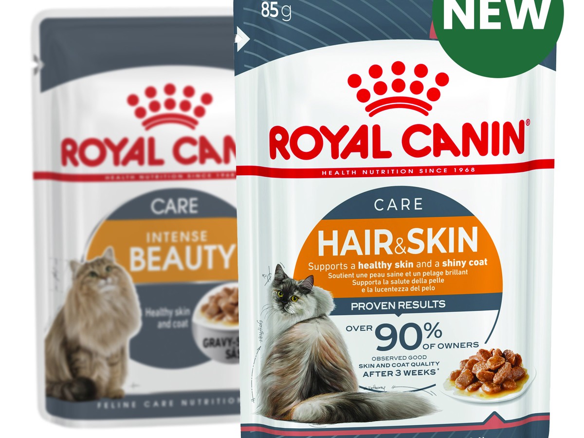 Hair & Skin Care Cat