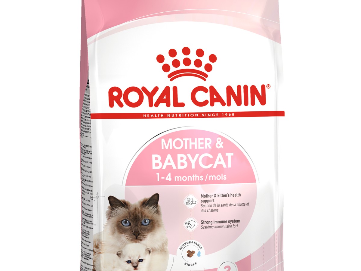 Mother & Babycat