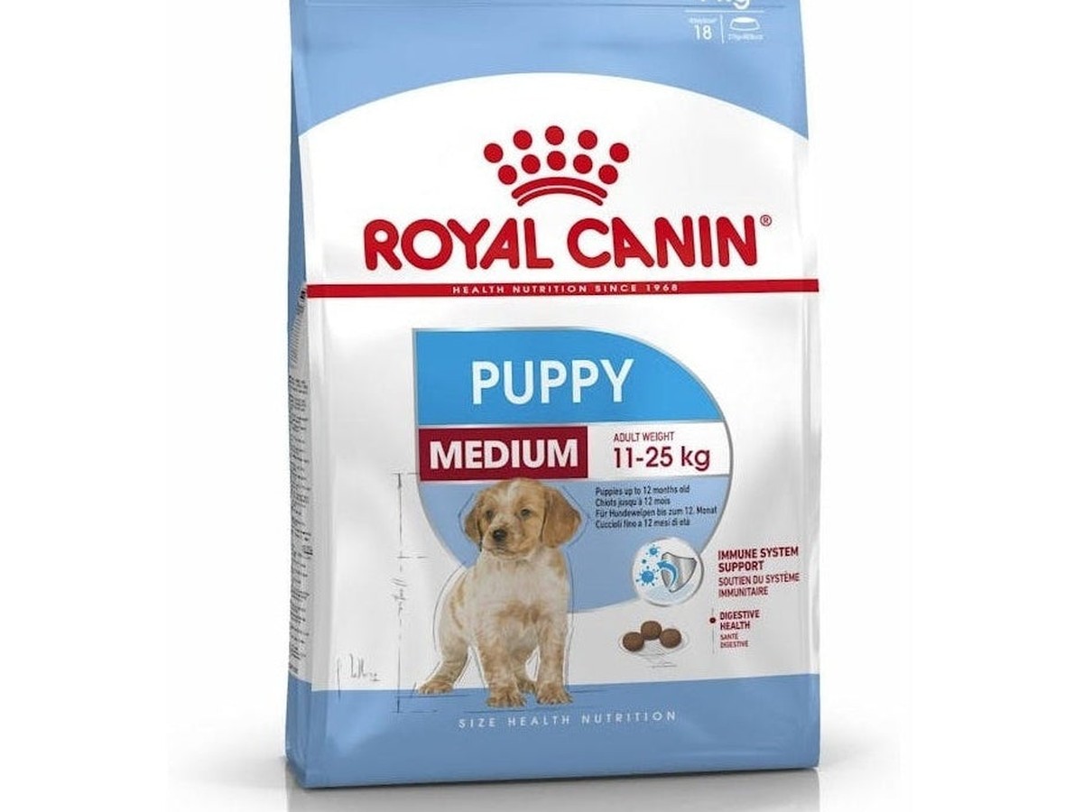 Puppy Medium